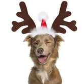 BWOGUE dog elk-antler headband worn on a dog for festive photos.