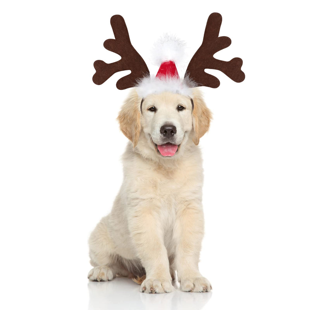BWOGUE dog elk headband with Santa hat front view for festive photo moments