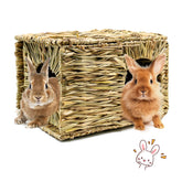 BWOGUE Extra Large Grass House front view showing roomy space for bunny play and nap.