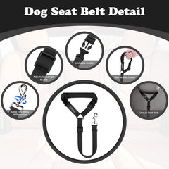 BWOGUE tangle-free straps allow quick setup for safer travel