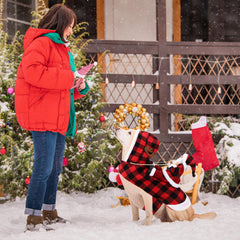 BWOGUE Santa Dog Costume displayed at a holiday party to emphasize style.