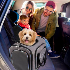 Bytaoqipet under-seat carrier with mesh ventilation for airflow