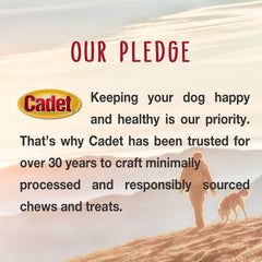 Cadet 5-inch rawhide chew for dogs supports engaging chewing