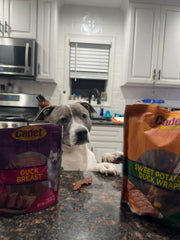 Cadet Sweet Potato Duck Wraps training treat ready for reward moments