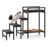 CADUKE pet window perch with stairs viewed head-on; convenient nap spot.