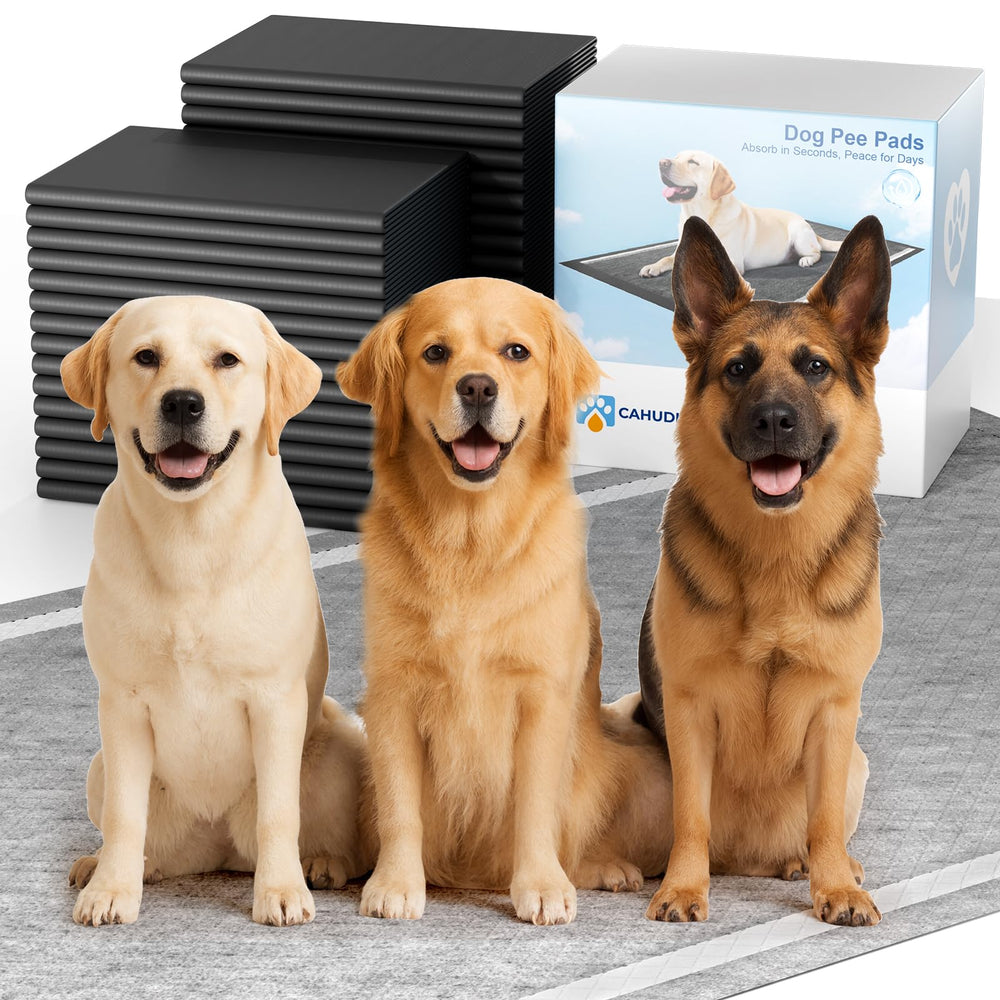 CAHUDIKIC charcoal pee pad XL box for multi-pet potty training