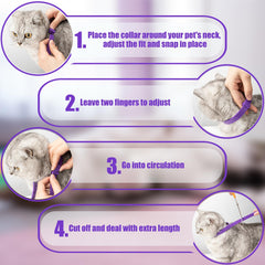 cailenifdc adjustable collar-fit on cat neck demonstrates snug, comfortable wear.