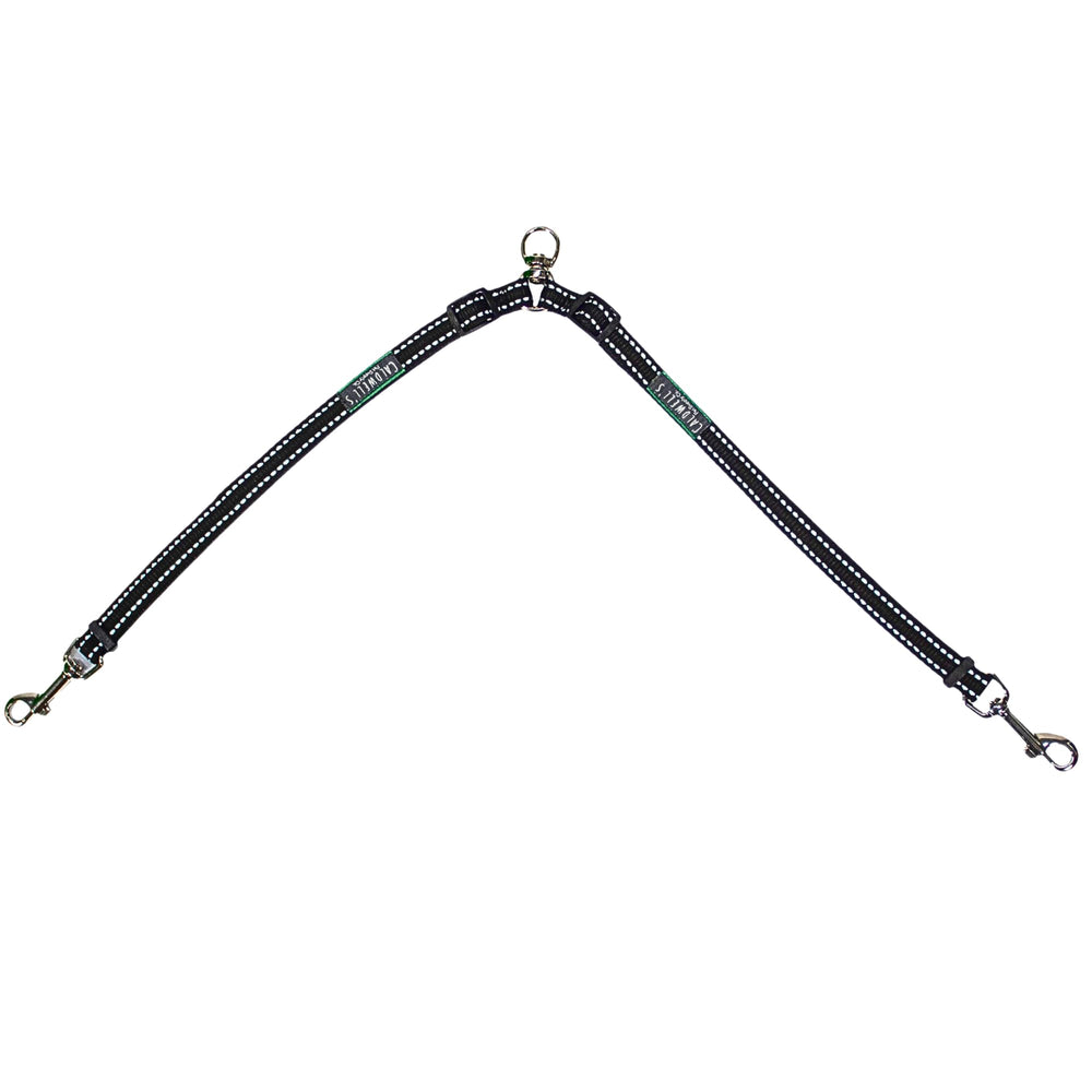 Caldwell's Leash Coupler for two dogs during a walk shows easy control
