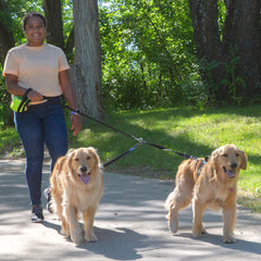 Caldwell's tangle-free swivel demonstrated during active dog walk