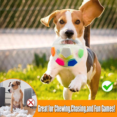 Calming Ball floats for pool and beach fetch and water games.