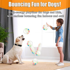 Calming Ball squeaker and hidden ball attract dogs for focused playtime.