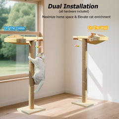 Caloreduce PVC scratching post is integrated for safe scratching and stretching.