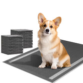 Camonti dog pee pad 100-count with charcoal odor-control for fresh home use