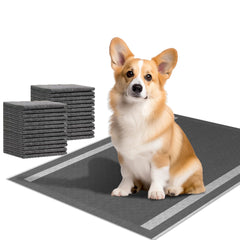 Camonti dog pee pad 100-count with charcoal odor-control for fresh home use