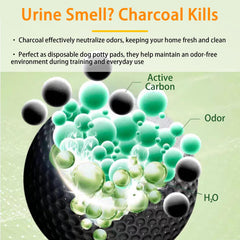 Camonti pee pad with leakproof edges protects floors during accidents.