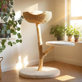 CAMTTIR modern cat tree with pear wood base for sturdy indoor play.