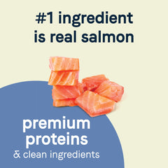 Canidae Pure Petite Salmon ingredients detail with peas and lentils for simple nutrition