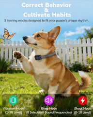Canivix dog collar remote shows Beep Vibration and Shock modes for guidance
