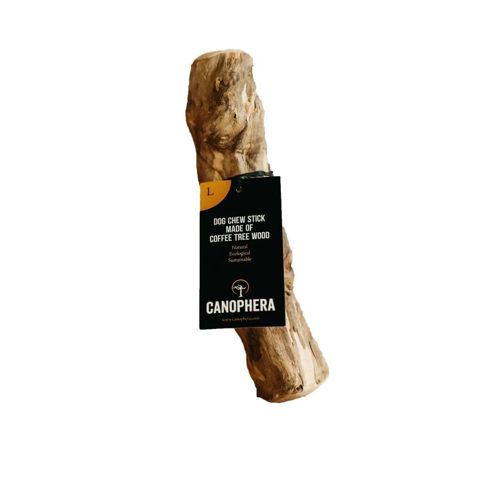 Canophera coffee wood dog chew stick large for durable chewing and dental support