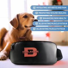 Cantendo red-light therapy belt wrapped around pet waist for non-invasive relief options.