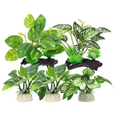 CAPASTEC Aquarium Plants green pack close-up with vibrant leaves for betta habitat enrichment.