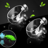 Capetsma 2X crystal glass aquatic plant pot with clear vertical display for tank aesthetics