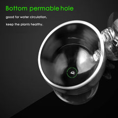 Capetsma plant pot drains through permeable bottom holes for healthy roots