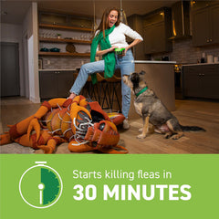 Capstar for Dogs dead fleas on coat illustrates quick flea kill.