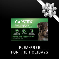 Capstar for Dogs pill close-up highlighting 57 mg for rapid flea kill.