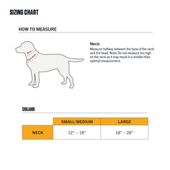 Carhartt dog collar featuring D-ring and tag holder for easy leash and ID access.