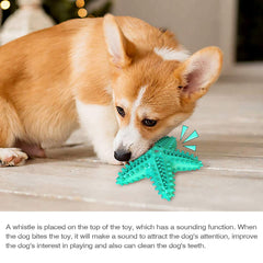 Carllg Starfish dog toy texture closeup shows bite-resistant TPR material