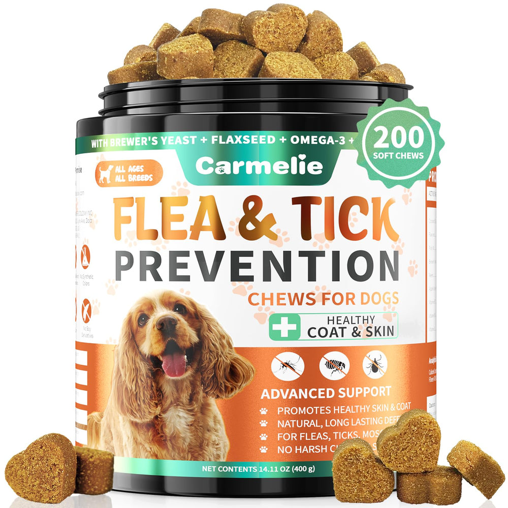 Carmelie flea chews in a dog bowl for easy dosing and tasty chicken flavor.