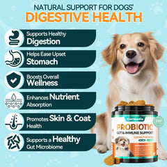 Carmelie Probiotics for Dogs ingredients including pumpkin highlight digestive support