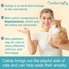 Caroline's Cats catnip refill for bird toys boosts engagement and exercise