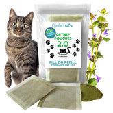 Caroline's Cats organic catnip packets 2.0 closeup for potent playtime exploration