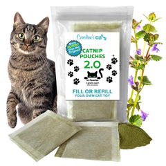 Caroline's Cats organic catnip packets 2.0 closeup for potent playtime exploration