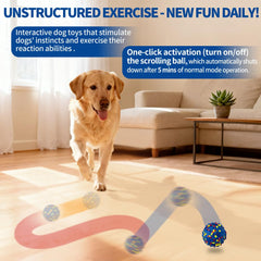 CAROZEN waterproof-shell-dog-ball—easy cleaning after outdoor play.
