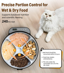 Casfuy cat feeder with 4 meal slot design for whisker-friendly feeding