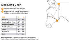 Cashel Crusader mask on horse highlights comfortable fit with UV protection during sunny rides