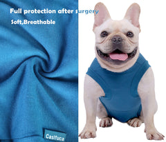 Caslfuca dog surgery recovery suit lick-prevention illustration highlights wound protection post-surgery.
