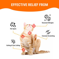 Cassiel pet dog skin-care chews close-up suggesting soothing relief.