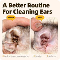 Cassiel pet Ear Drops in a pet ear-cleaning scene promoting hygiene