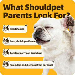 Cassiel pet Ear Drops beside a relaxed pet after application