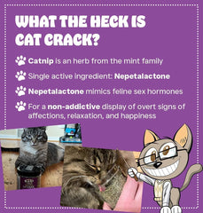 Cat Crack catnip powder texture ready for sprinkling on toys