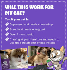 Cat Crack North America made label signals quality and ethical production practices for pet lovers.