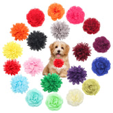 Catcan dog flower collar attachment 10cm boosts visibility on daily walks.
