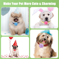 Catcan dog flower collar color-palette offers diverse styling options