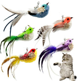 CATENEED cat feather toy refill pack keeps playtime fresh for indoor cats