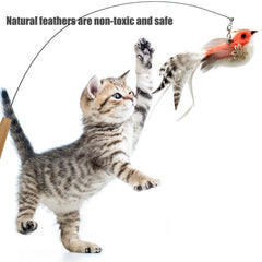 CATENEED wand attachments with feathers for dynamic chasing sessions