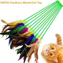 CATENEED feather wand toy – plastic handle offers safe grip for playful sessions.